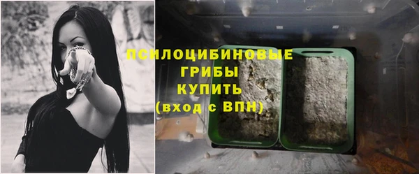 мет Абинск