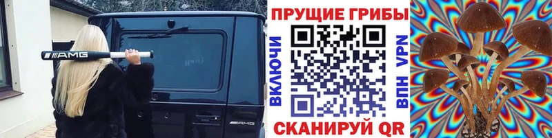 Псилоцибиновые грибы мухоморы  где купить   кракен вход  Кинешма 