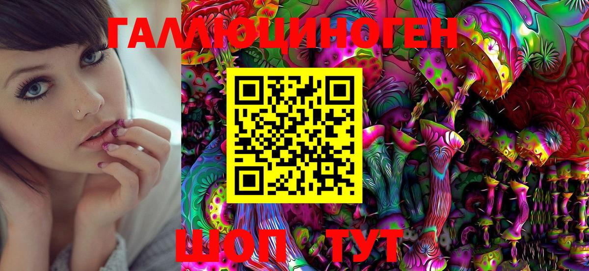 Галлюциногенные грибы MAGIC MUSHROOMS  Вход с VPN  Кинешма 