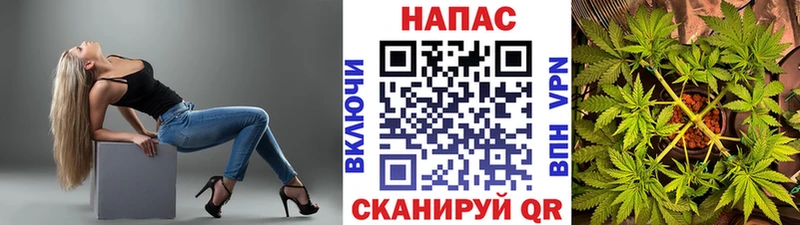 Шишки марихуана конопля  Кинешма 
